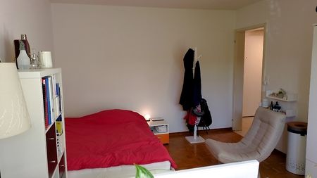 1½ Zimmer-Wohnung in Zürich - Kreis 7 Witikon, möbliert, auf Zeit - Foto 4