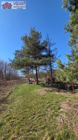 Dom na wynajem - Zdjęcie 3