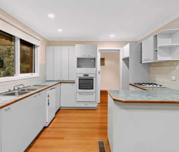 5 Bed, 2 Bath - Photo 6