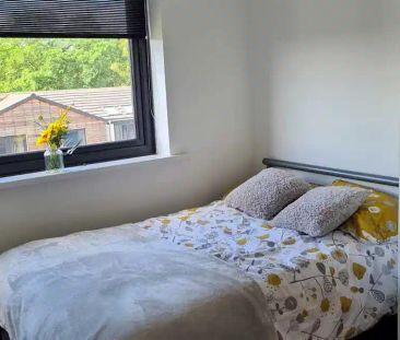 Ensuite Rooms (Platinum) - Photo 6