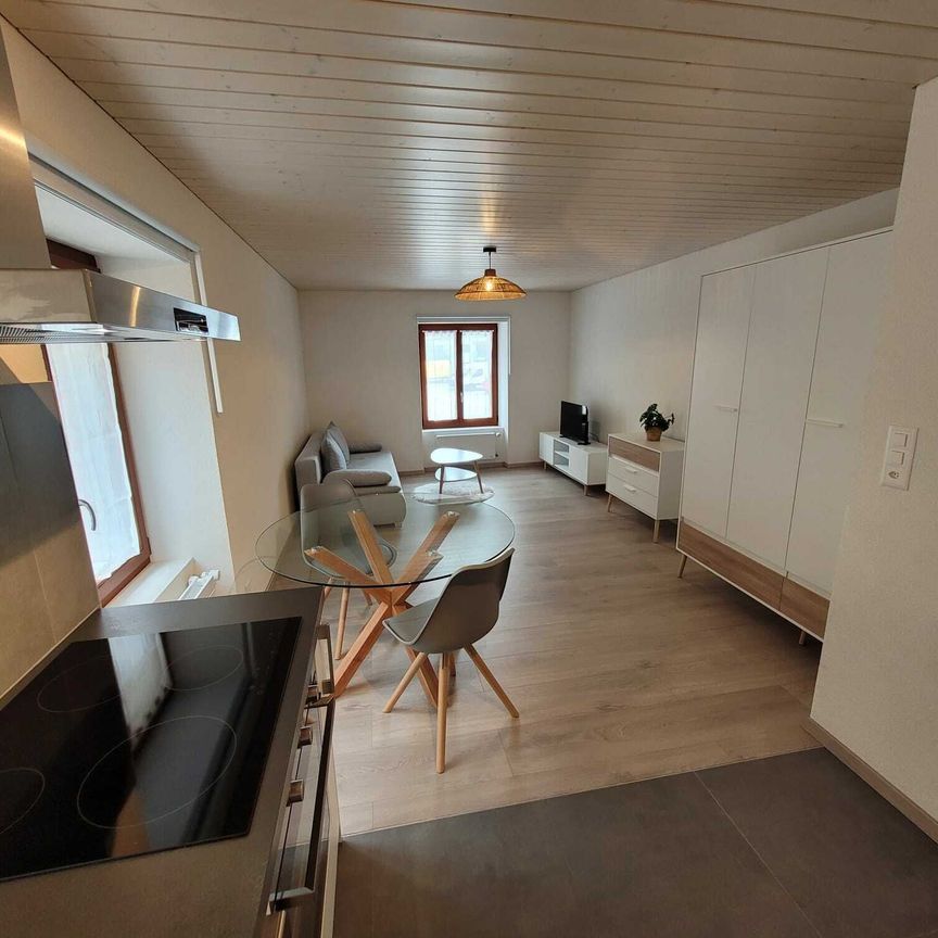 Furnished apartment in Val-de-Travers - Foto 1