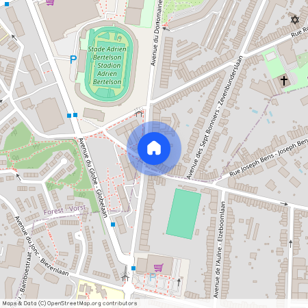 Avenue du Domaine, 7, 5, 1190, Forest