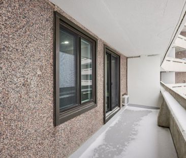 For Lease - 1171 Ambleside Drive Unit# 1406, Woodroffe, Ontario - Photo 6