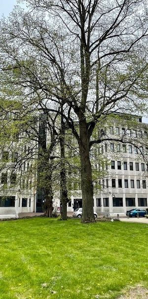 Touthill Place, City Centre, Peterborough - Photo 1