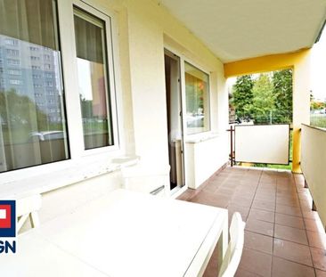 Mieszkanie na wynajem Gorzów Wielkopolski - Mieszkanie: 49 m2, dwup... - Zdjęcie 4