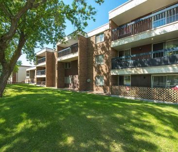 Carina Apartments — 1 Bedroom - Photo 1