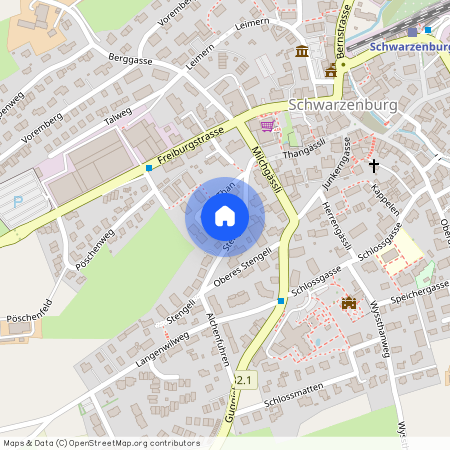 Im Than BE 163503 3, 3150, Schwarzenburg