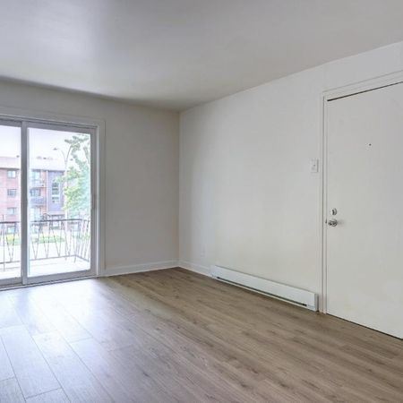 4 1/2 rénové à Pointe-aux-Trembles - Juillet - Internet inclus - Photo 3