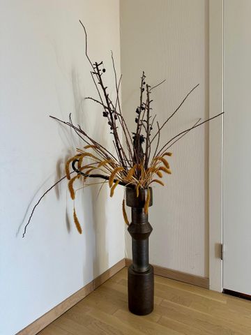 Van der Hoevenplein - Photo 3