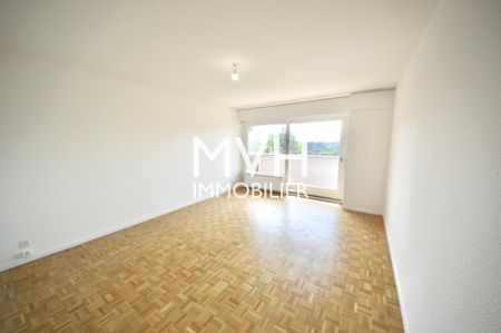Appartement rénové 9ème étage avec vue Jet d'eau et Montblanc - Foto 5