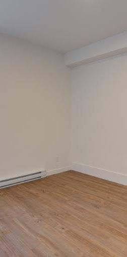 5 1/2 - Montréal (Rosemont) - 2 350 $/mois - Photo 1