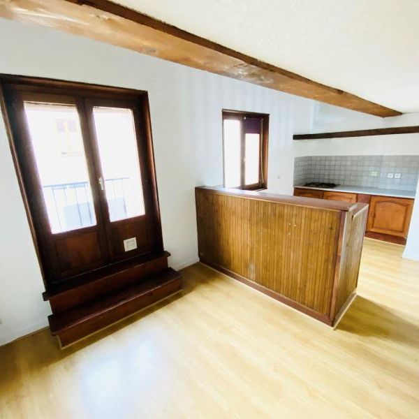 Location Maison 3 pièces 45m² ST LAURENT SUR SAONE 01750 - Photo 1