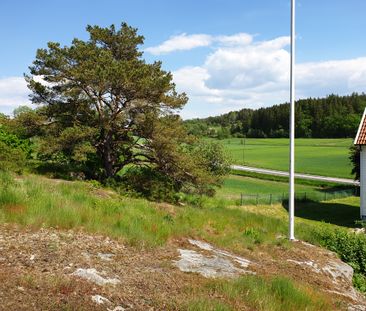 Lerskall, Henån - Photo 6