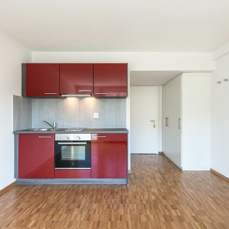 Modernes Studio in zentraler Lage mit praktischer Einbauküche - Photo 1