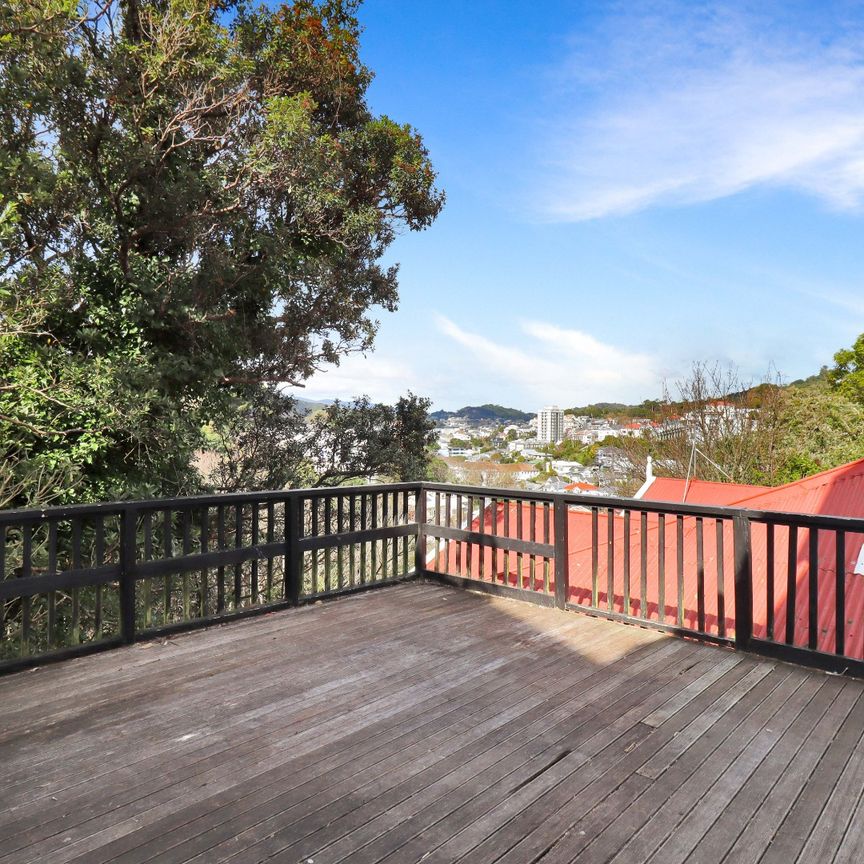 Aro Valley - Photo 1