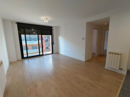 Piso de alquiler en Carrer de Les Llevadores, Mas Masó - Hospital - Photo 1