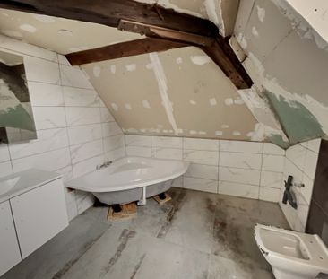 Location Appartement 1 pièce 22m² SELESTAT 67600 - Photo 5