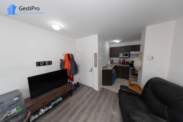 3405-3415 Petitclerc - Photo 1