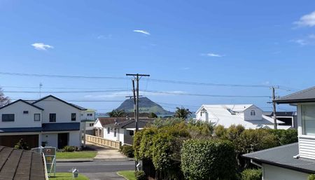 Hinewa Ridge - Mount Views - Photo 5
