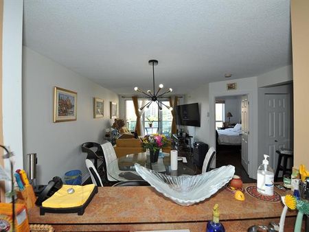 384 Rue Crépeau - Photo 2