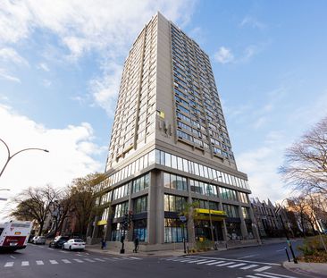 Maddox Dorchester Renovated Apartments - Photo 1