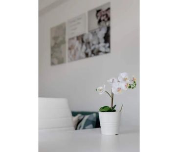 Avenida do Brasil, Amadora, Lisbon 2700-133 - Photo 2