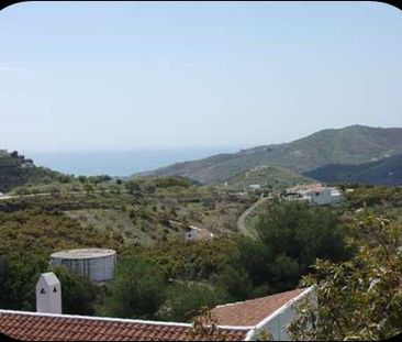 Delightful detached villa with pool and covered exterior kitchen in... - Photo 3