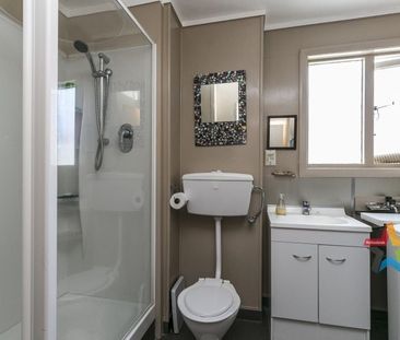 Renovated & cat friendly 2brm unit Berhampore - Photo 4