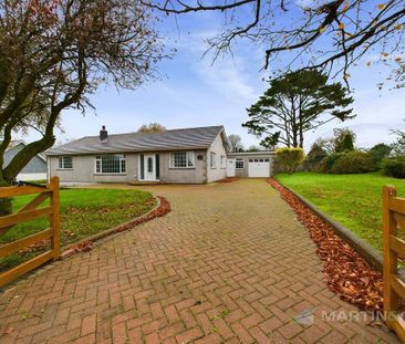 4 bedroom detached bungalow to rent - Photo 6