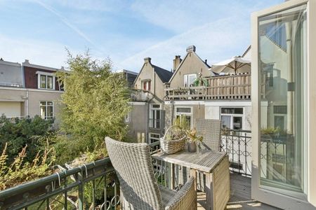 Swammerdamstraat 26 2 1091RV Amsterdam - Photo 3