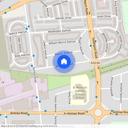 Burnie Avenue, Bootle, L20