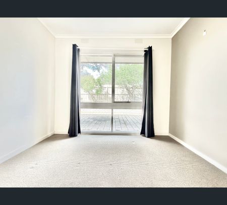 16 Parkhill Drive, Ashwood, Vic 3147 - Photo 5