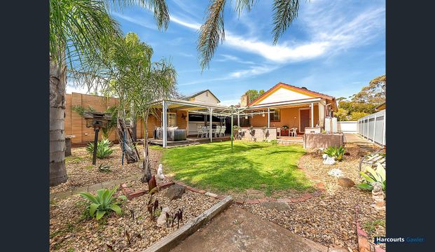 11 Chaddenwick Road, Elizabeth Vale SA 5112 - Photo 1