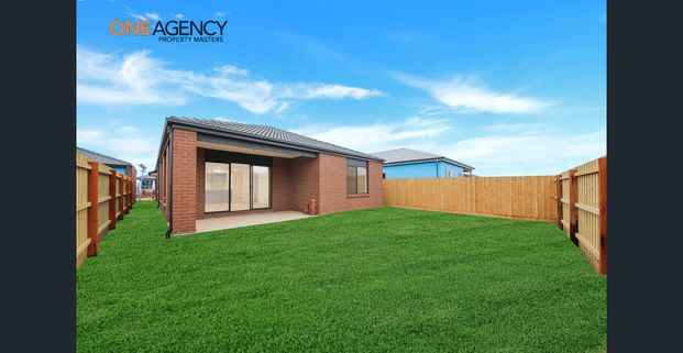 Amazing Family Home in Melton South!! - Photo 1