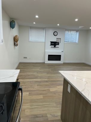 For Lease - 1304 Bush Hill Link Line Unit# BASEMENT, London North, Ontario - Photo 1