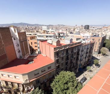 Carrer de Sant Pau, Barcelona, Catalonia 08001 - Photo 4