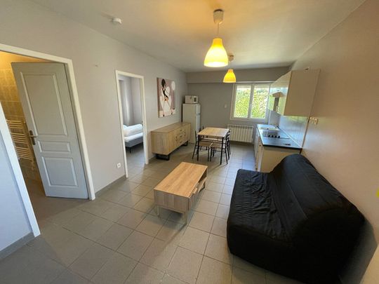 Appartement meublé Anthon 2 pièce(s) 36.24 m2 - Photo 1