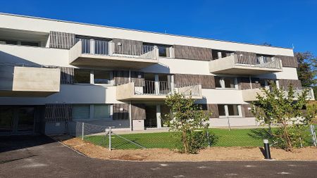 NEULENGBACH IX/1 - Photo 3