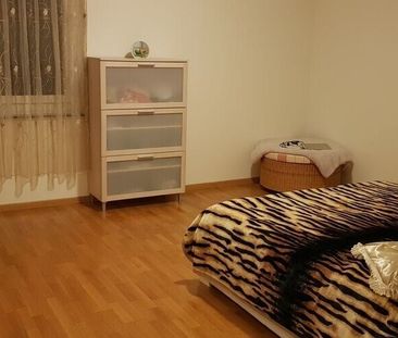 Ihr neues Wohnreich in Zumikon, befristet bis 31.03.2027 - Photo 1