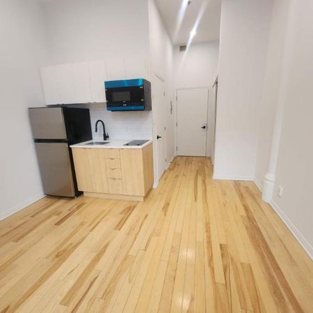 1 CH - 1 SDB - Montréal - $1,195 /mo - Photo 3