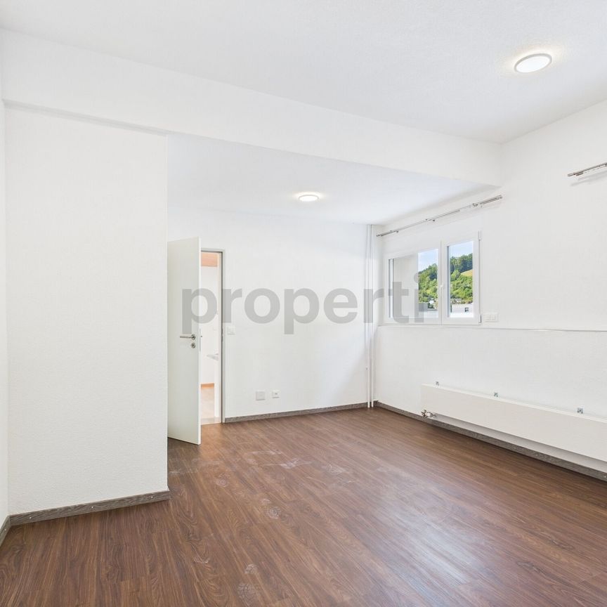 Exclusive 4.5-room apartment in Ebnat-Kappel, canton SG - Foto 1