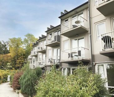 Superior Studio Complex for 2026 - Photo 3