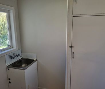 Ranui. All Dressed Up - Photo 6