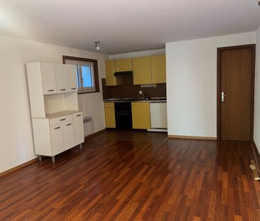 2 ½ pièces au Pâquier - Pour les amoureux de la nature ! - Photo 2
