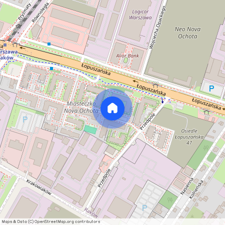 ul. Łopuszańska, Raków, Włochy, Warszawa, mazowieckie