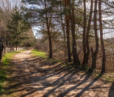 2 pok. Kanarkowa, Gutkowo, zwierzęta mile widziane - Zdjęcie 4