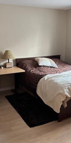 Logement à louer 5 1/2 rue Rouleau Saint-Hyacinthe près des services (hôpital, CLSC et Galeries Saint-Hyacinthe) - Photo 1