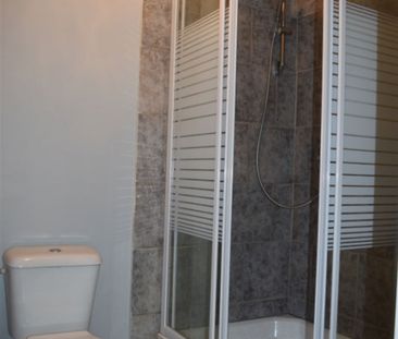 Appartement 1 chambre au 1er étage - Photo 3