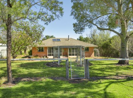 House & Grazing – 200 acres - Photo 4