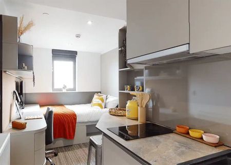 Bronze Studio City View Mid Level - Photo 5